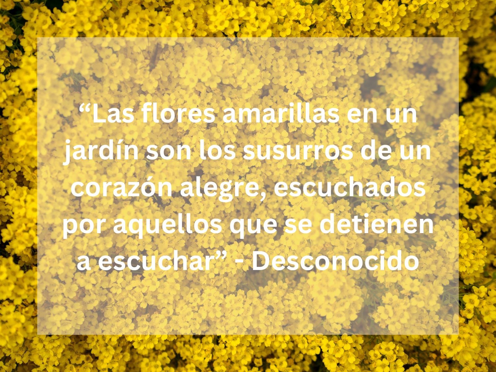 "Las flores amarillas en un jardín son los susurros de un corazón alegre, escuchados por aquellos que se detienen a escuchar" - Desconocido. | Foto de Artiom Vallat en Unsplash / Composición Mix